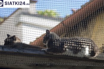 Siatki Drawsko Pomorskie - Siatka na balkony dla kota i zabezpieczenie dzieci dla terenów Drawsko Pomorskie