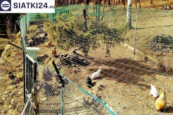 Siatki Drawsko Pomorskie - Siatka na woliery - zabezpieczenia ptaków w hodowli dla terenów Drawsko Pomorskie
